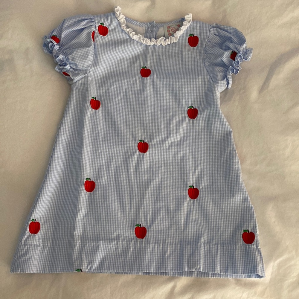 Blue Gingham Apple Dress